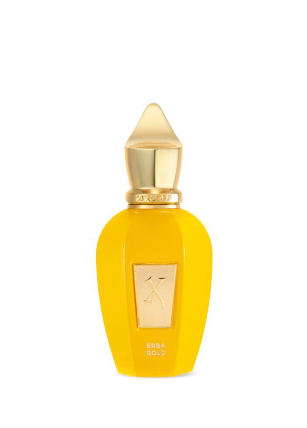 ERBA GOLD EDP 100 ML